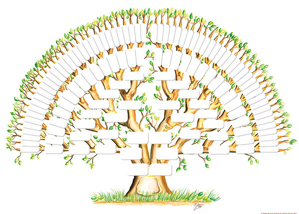 What is Genealogy?